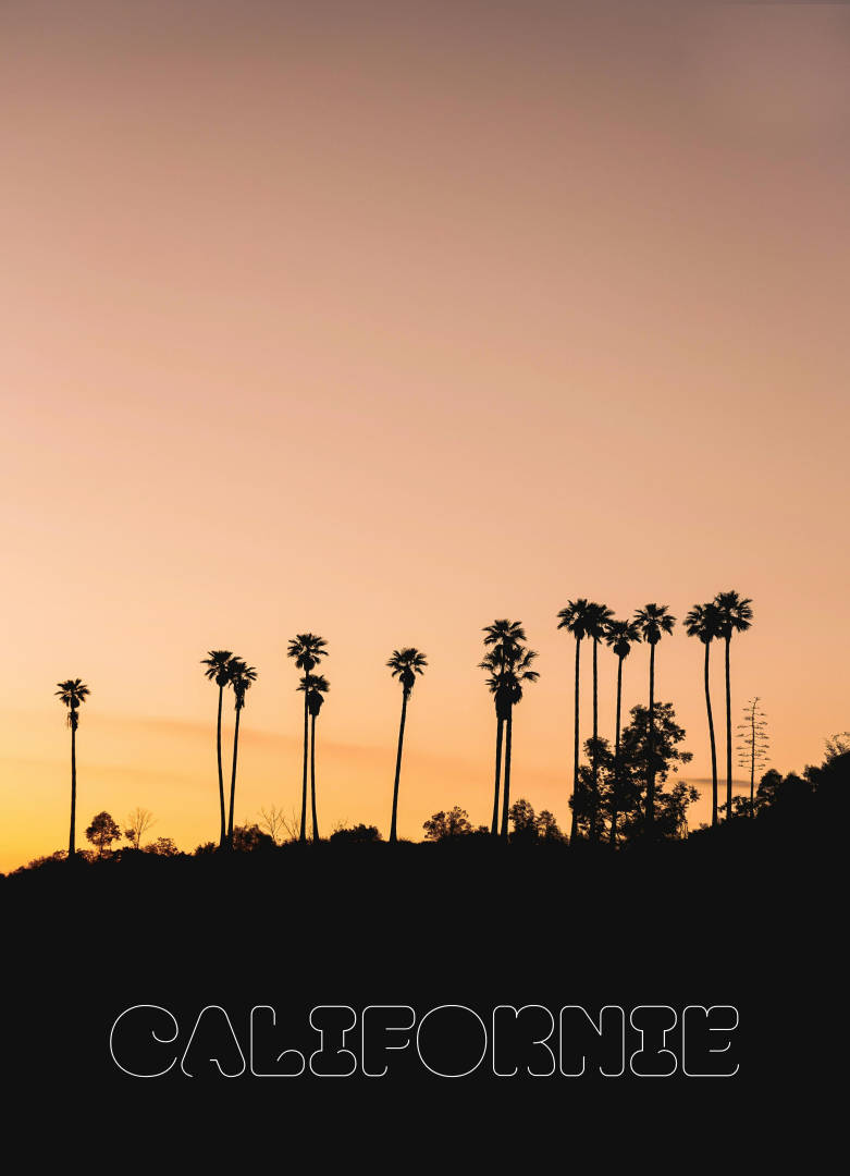 Voyage en Californie : plages paradisiaques, parcs nationaux et villes emblématiques comme Los Angeles et San Francisco